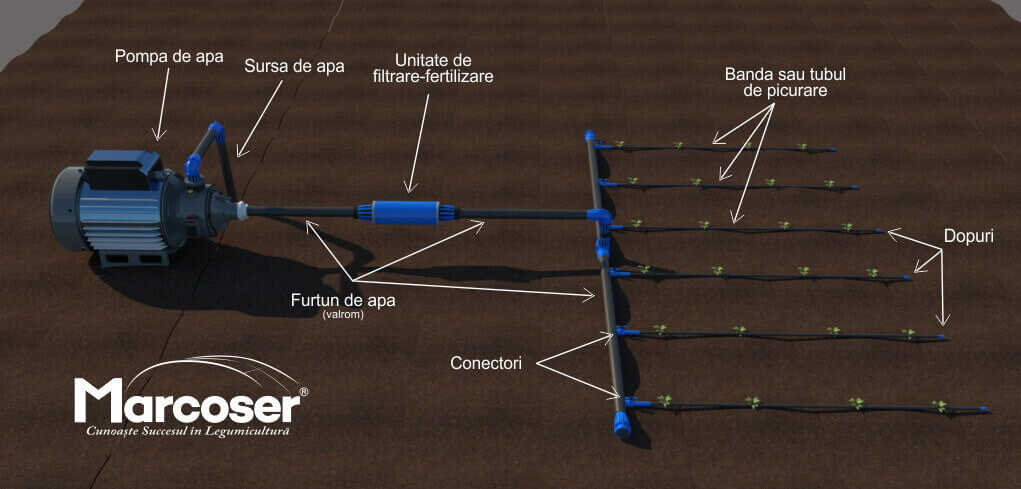 Schema sistemului de irigare prin picurare