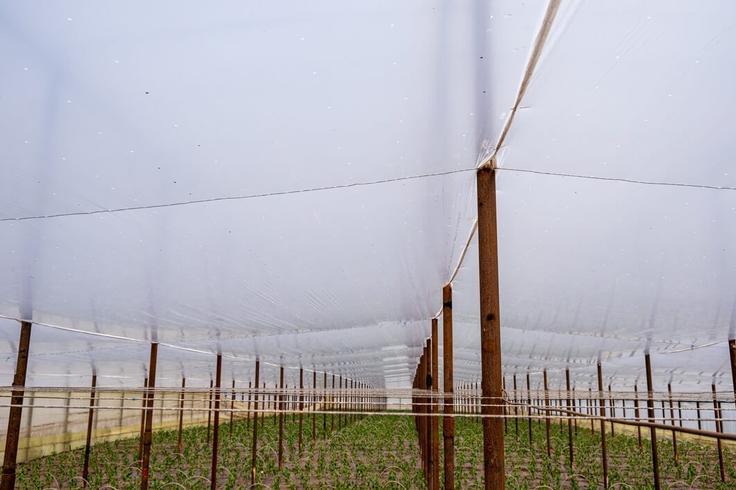 Folie de polietilena pentru protectie termica