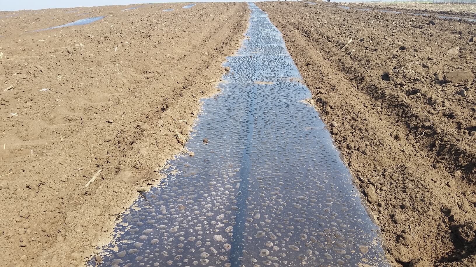 Folie de mulcire - Neagra transparenta