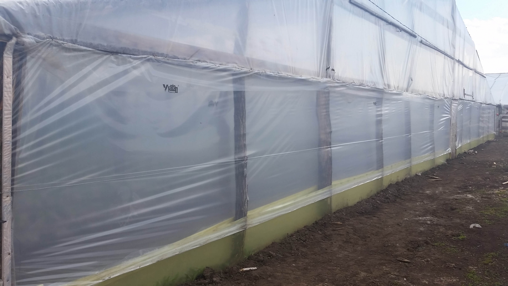 FOLIE DE PERETI PENTRU SOLAR SI SERA